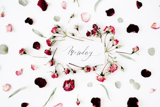 Wort Montag geschrieben im Kalligraphiestil auf Papier mit rosa, roten Rosen, Eukalyptus und Blättern auf Weiß