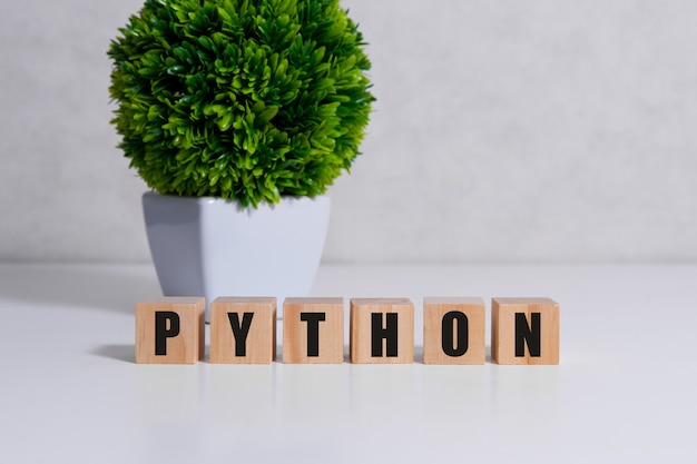 Wortkonzept der Programmiersprache Python. QS-Konzept.