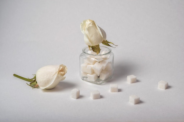 Würfelzucker und weiße Rose auf weißem Hintergrund. Selektiver Fokus
