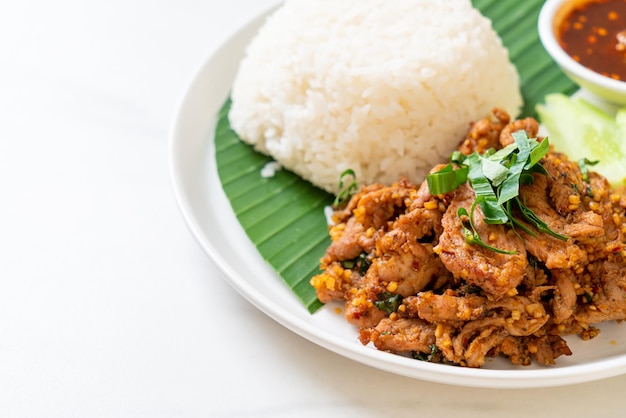 würziges gegrilltes Schweinefleisch mit Reis und würziger Sauce nach asiatischer Art