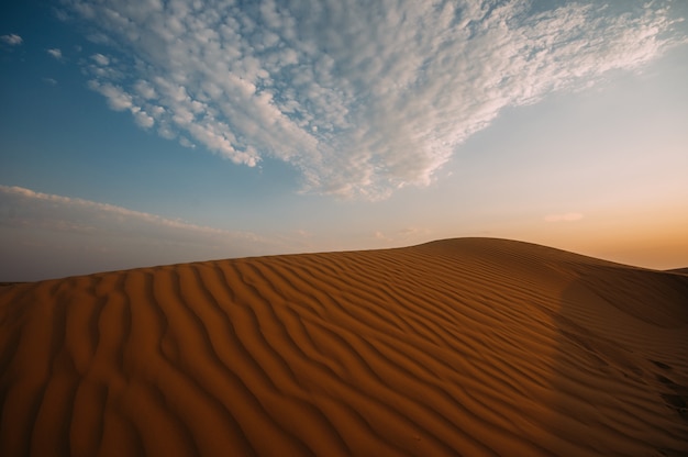 Wüste mit Sanddünen an einem klaren sonnigen Tag. Wüstenlandschaft.