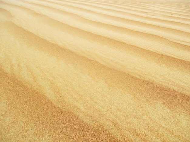 Wüste mit warmen Farben Sanddünen