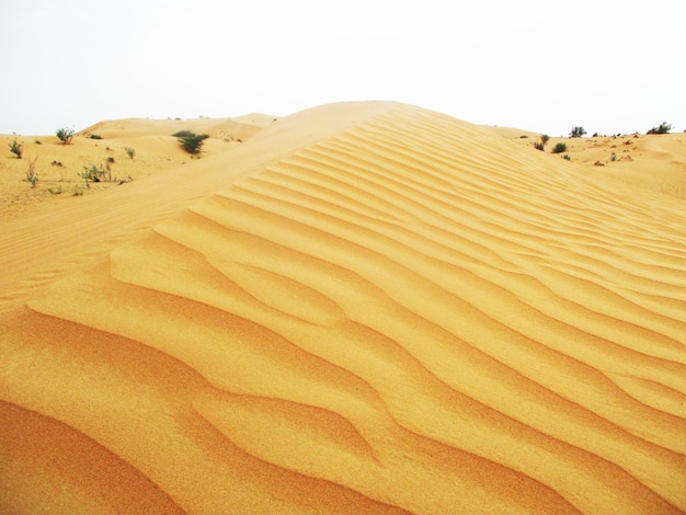 Wüste mit warmen Farben Sanddünen