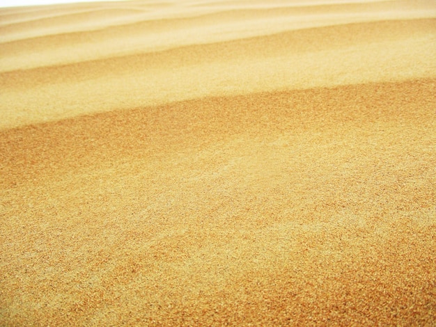 Wüste mit warmen Farben Sanddünen