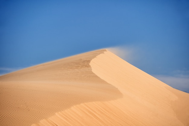 Wüste von Nordafrika, sandige Barkhans.