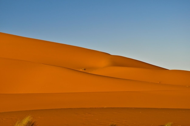 Foto wüste
