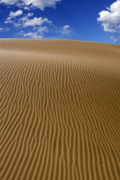 Wüstendünensand in Maspalomas Gran Canaria