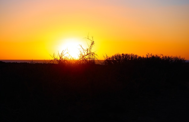 Wüstenküste bei Sonnenuntergang - Landschaft. Copyspace-Komposition