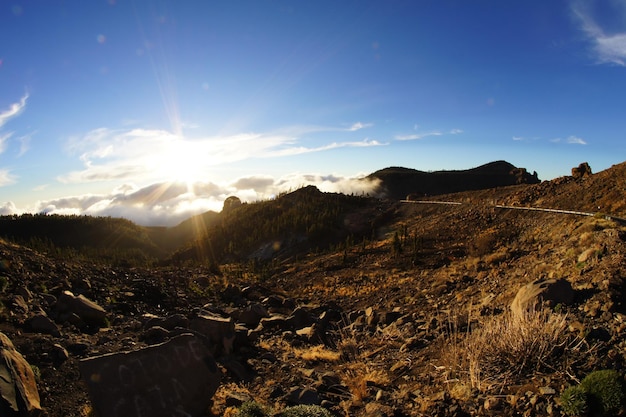 Wüstenlandschaft im Nationalpark Volcan Teide, Teneriffa, Kanarische Inseln, Spanien