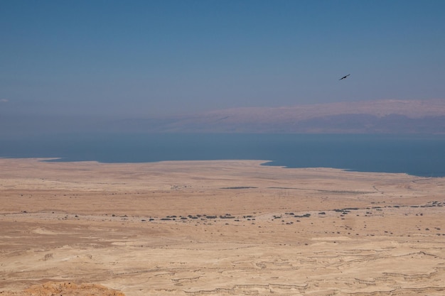 Wüstenlandschaft Israels Totes Meer Jordanien Hochwertiges Foto