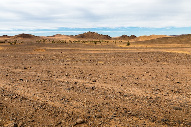 Wüstenlandschaft, Marokko.