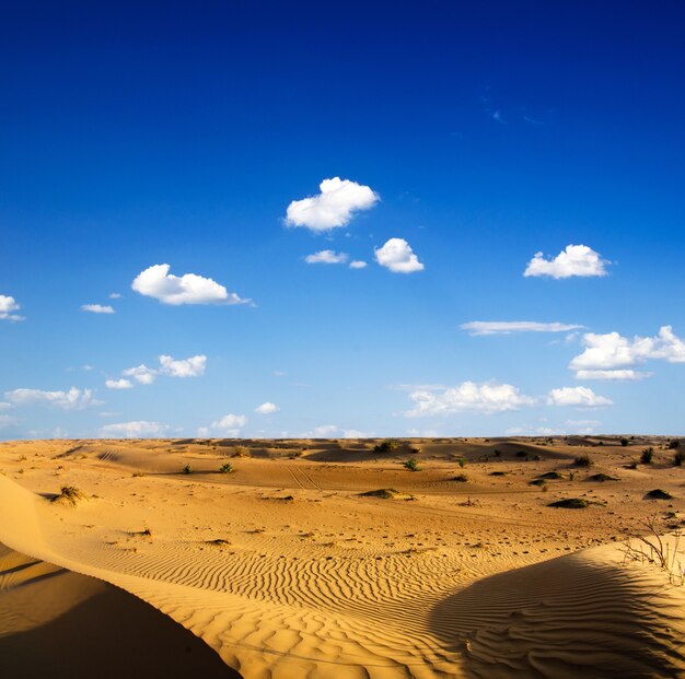 Wüstenlandschaft mit blauem Himmel