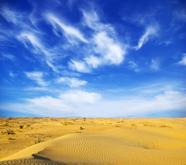 Wüstenlandschaft mit blauem Himmel