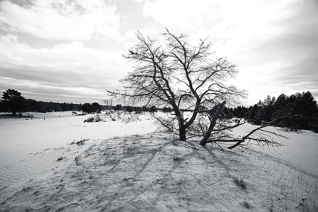 Wüstenlandschaft / Sandwüste, keine Menschen, Dünenlandschaft