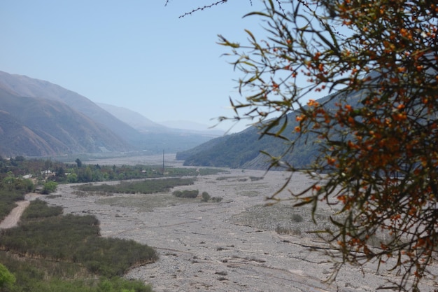 Wüstenlandschaft und Berggebiet mit trockenem Flussbett