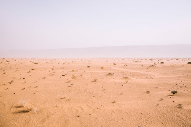 Foto wüstenlandschaft