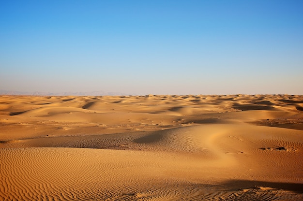 Wüstenlandschaft