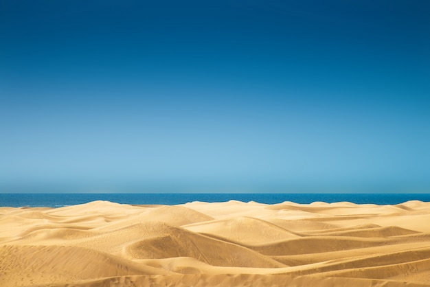 Wüstenpanorama der Dünen von Maspalomas