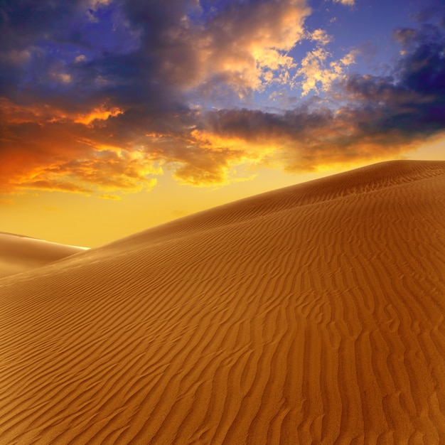 Wüstensanddünen in Maspalomas Gran Canaria