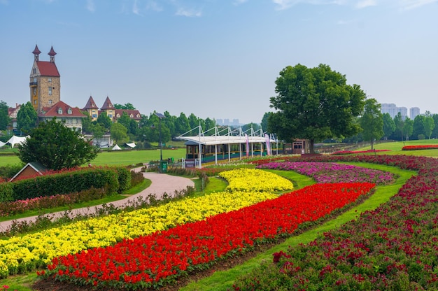 Foto wuhan huabohui park primavera verbena flor mar fotografia aérea cenário