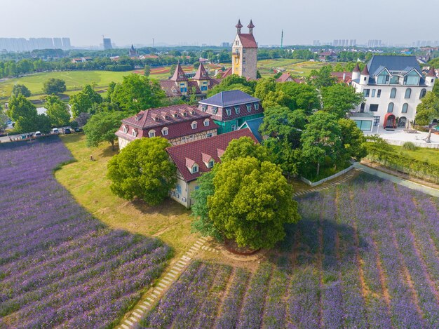 Wuhan Huabohui Parque primavera verbena flor mar fotografía aérea paisaje