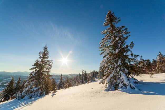 Wunderbar majestätische Winterlandschaft, die durch Sonnenlicht glüht winterliche Szene Karpaten Ukraine Europa Schönheitswelt Frohes neues Jahr