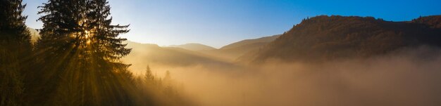 Wunderbare Berglandschaft. Morgendämmerung in den Herbstkarpaten, die Sonnenstrahlen scheinen auf den Nebel und gelbe Herbstbäume. Drohnenansicht.