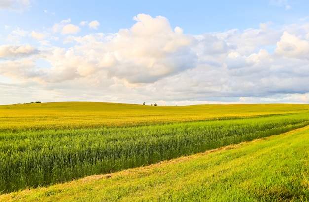 Wunderbare Feldhügelbäume und blauer Himmel mit Wolken in der Landschaft im Herbstlandschaft