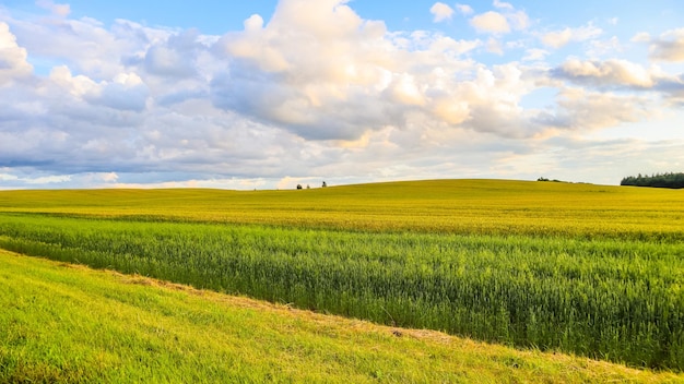 Wunderbare Feldhügelbäume und blauer Himmel mit Wolken in der Landschaft im Herbstlandschaft