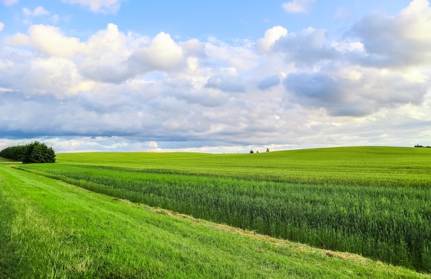 Wunderbare grüne Feldhügelbäume und blauer Himmel mit Wolken in der Frühlingslandschaft auf dem Land