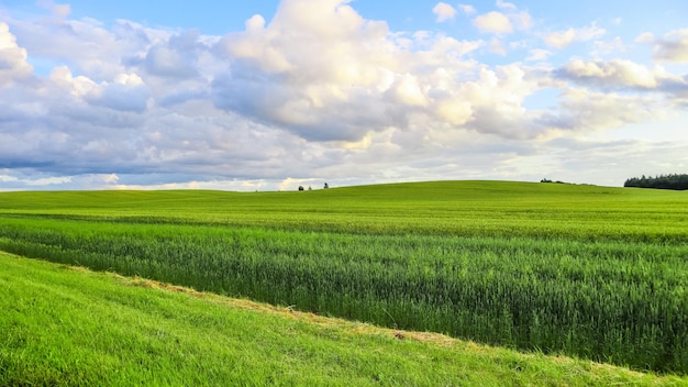 Wunderbare grüne Feldhügelbäume und blauer Himmel mit Wolken in der Frühlingslandschaft auf dem Land