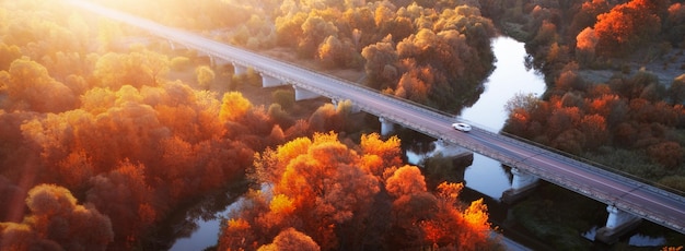 Wunderbare Herbstmorgenlandschaft. Straßenbrücke über den Fluss. Gelber Laubwald an den Ufern. Drohnenansicht.