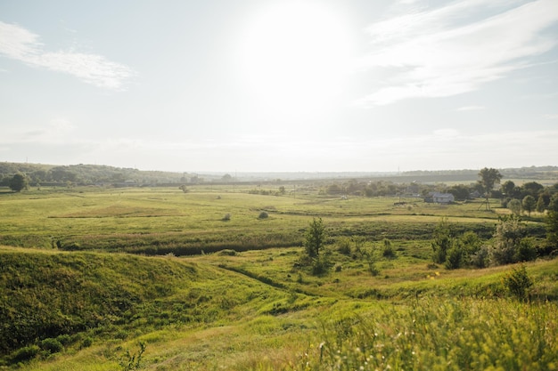 Wunderbare Landschaft bei Sonnenaufgang Wilde Blumen im Frühling Schöne Naturlandschaft im Sommer Sonniger Tag