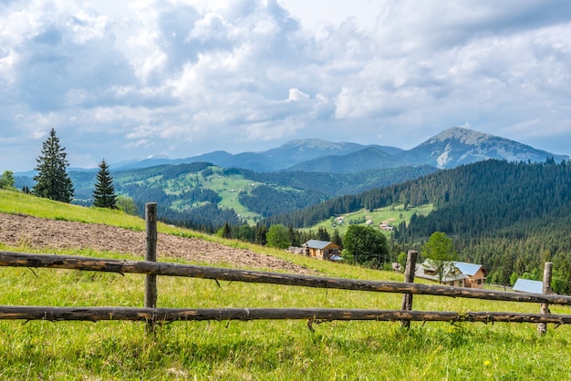 Wunderbare schöne malerische Landschaft von grünen Wiesen vor dem Hintergrund eines Nadelwaldes, der auf den Bergen an einem wolkigen sonnigen warmen Sommertag wächst