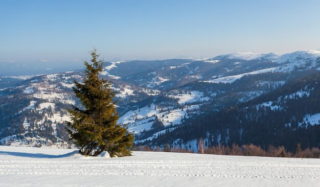 Wunderbare winterliche Landschaft an sonnigen Tagen Winterlandschaft mit schneebedeckten Bergen unter Sonnenlicht Beliebter Wander- und Reiseort Winterwunderland atemberaubender Natur Hintergrund Karpaten