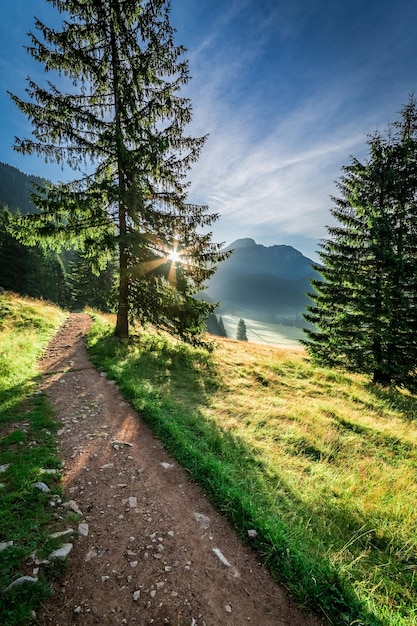 Wunderbarer Weg im Tatra-Gebirge im Morgengrauen Polen Europa