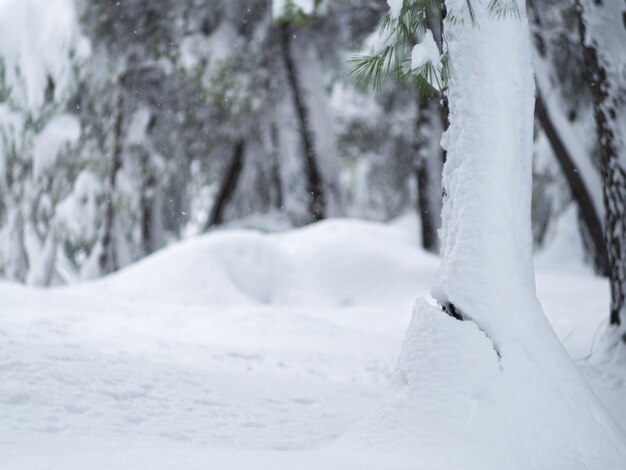 Wunderbarer Winter mit viel Schnee und Schneeverwehungen in einem griechischen Dorf auf der Insel Euböa Griechenland