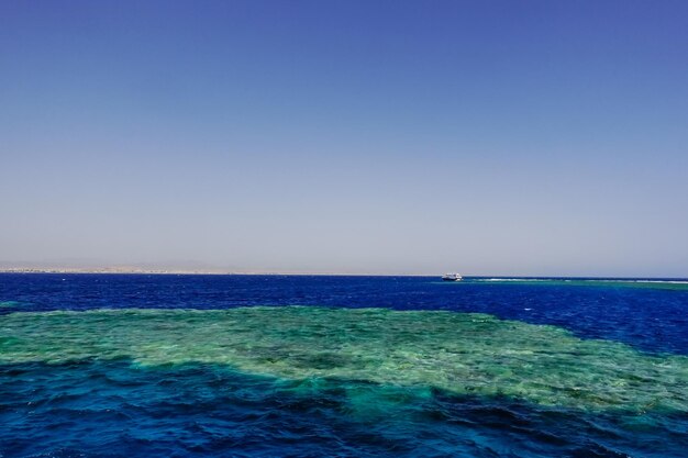 wunderbares grünes Korallenriff mit tiefblauem Wasser und blauem Himmel in Marsa Alam