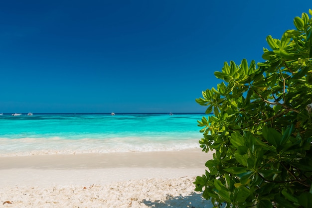 Wunderschön der exotische Strand und der sehr schöne Strand zum Entspannen, auf Thacai Island, Thailand