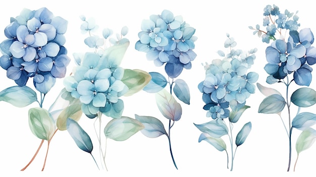 Wunderschöne Aquarell-Blumensträuße mit Hortensienblüten und Eukalyptuszweigen. Generative KI