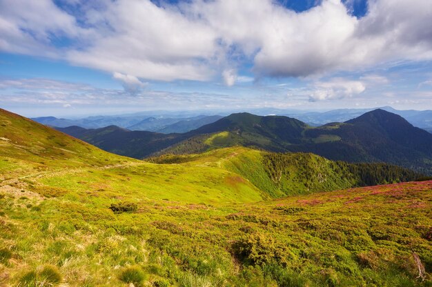 Wunderschöne Berglandschaft mit Berggipfeln