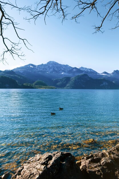 Wunderschöne Berglandschaft mit schwimmenden Vögeln.