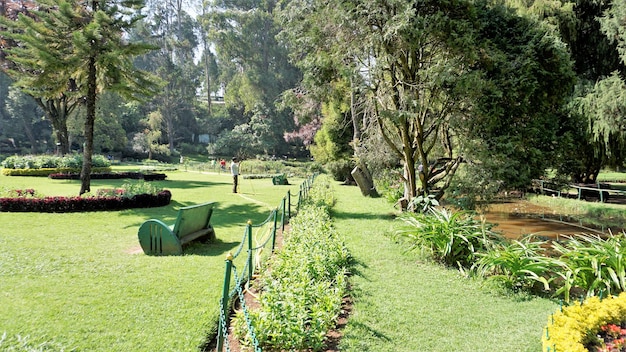 Wunderschöne botanische Gärten der Regierung in Ooty Tamilnadu, Indien