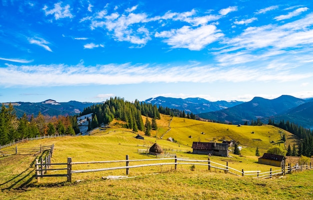 Foto wunderschöne bunte wälder, die die karpaten und ein kleines dorf bedecken