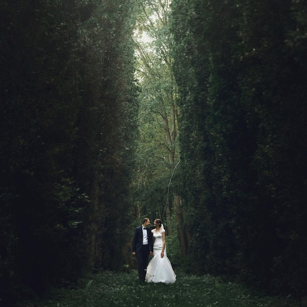 Wunderschöne elegante Luxusbraut und stilvoller Bräutigam, die sich umarmen und auf dem Hintergrund von Bäumen in einem Park spazieren gehen