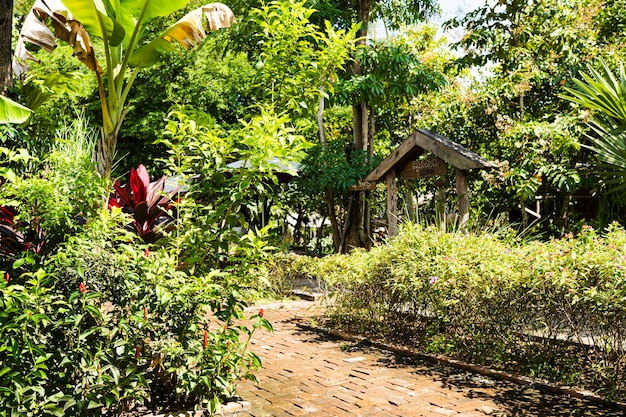 Wunderschöne Gartenlandschaft mit Blumen im alten Dorf Kampot