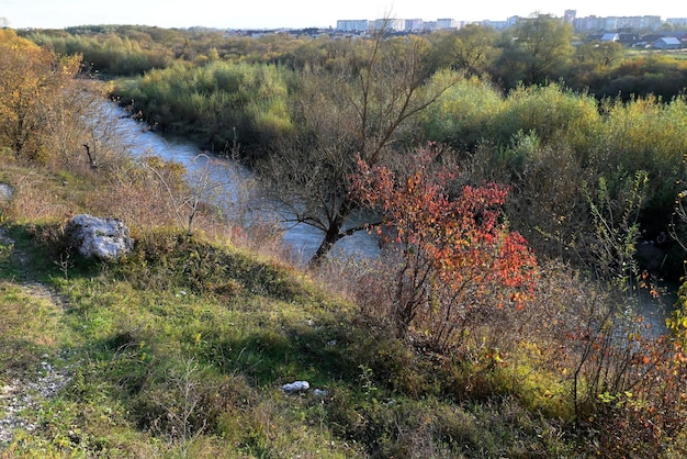 Wunderschöne Herbstlandschaft mit Bäumen und einem kleinen Fluss