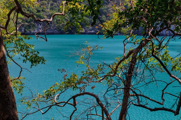 wunderschöne Lagune, tropisches Paradies, Angthong National Marine Park, Koh Samui, Suratthani, Thailand