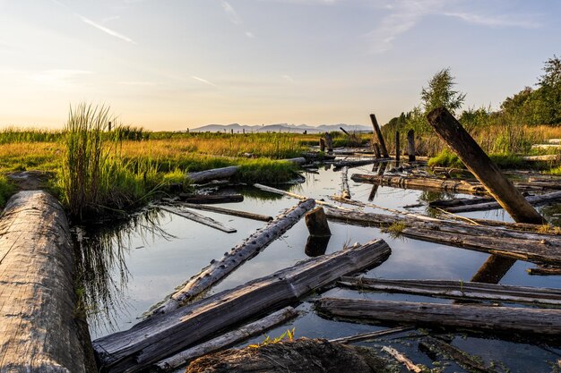 Wunderschöne Landschaft des Naturreservats Sturgeon Banks Natural Area in der Nähe von Richmond British Columbia.