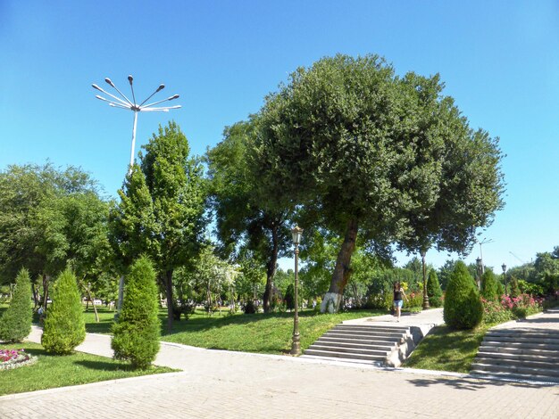 Wunderschöne Landschaft im Stadtpark